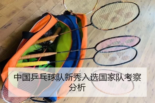 中国乒乓球队新秀入选国家队考察分析